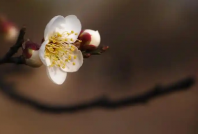 ​幼儿园贫困申请书范文