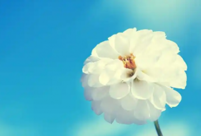 ​企业员工入党申请书范文