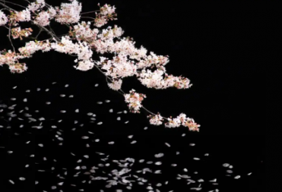 ​电影前任4演员表