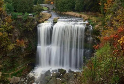 ​女生节标语26句