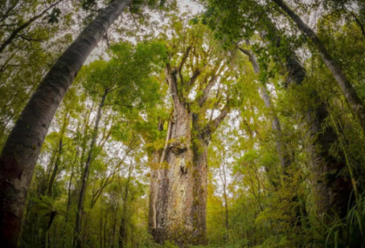 ​最新个人签名【22句精选】