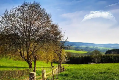 ​公司申请书格式范文