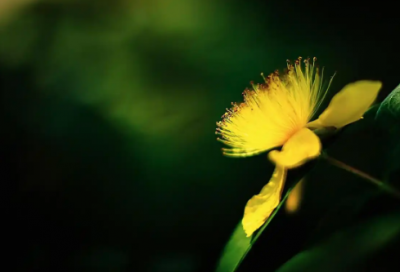 ​好听的微信个性签名