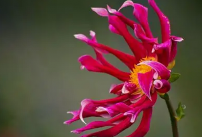 ​易经毕业演讲稿范文