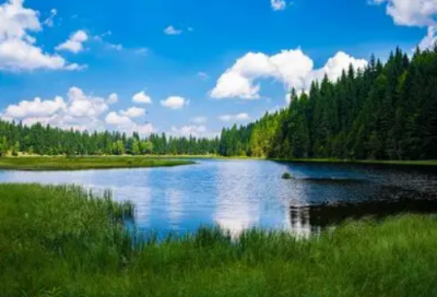 ​最美搭档演讲稿范文