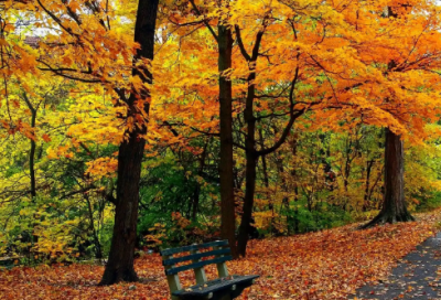 ​求职信西点专业