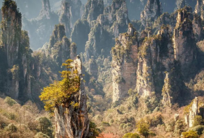 ​英语国庆节手抄报内容优选77句