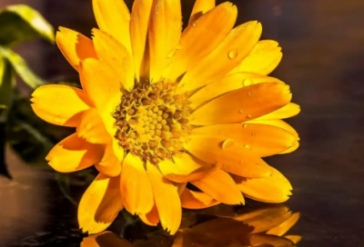 ​求职信新闻专业