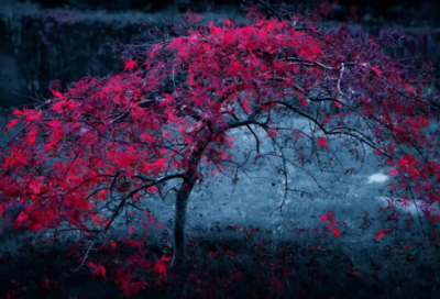 ​励志减肥语句精选45句