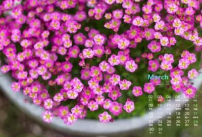 ​节日演讲稿范文英语