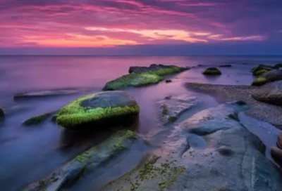 ​车辆维修申请书范文