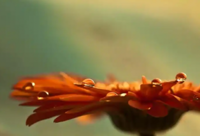 ​壮美柳州演讲稿范文