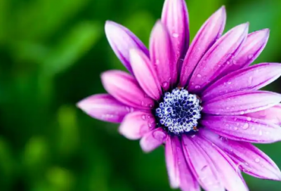 ​完璧归赵造句