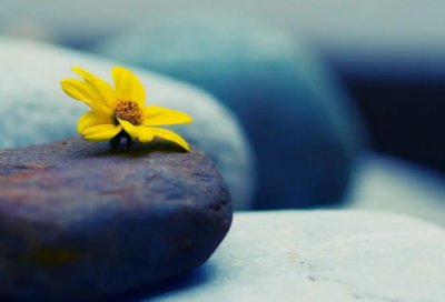 ​为人处世20句