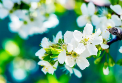 ​减肥广告朋友圈怎么发(有吸引力的减肥广告语)