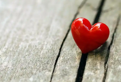 ​红十字会申请书范文