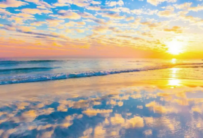 ​城市变化演讲稿范文