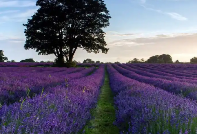 ​开源节流的意思优选24句