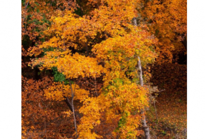 ​闰月年有什么讲究