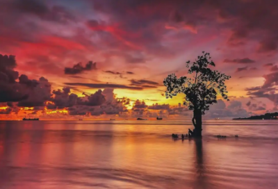 ​工程款申请书范文