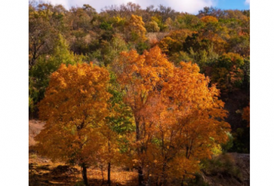 ​徒弟对师傅的感恩寄语精选30句