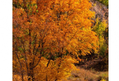 ​不过情人节精选20句