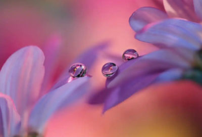 ​监理专业求职信