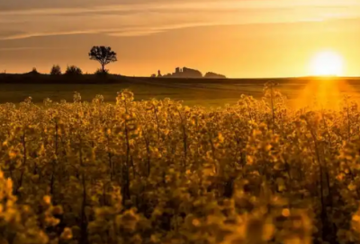 ​陈姓属猪男孩取名