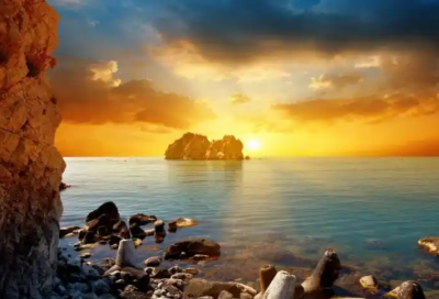 ​燕宝申请书范文