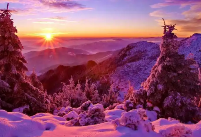 ​求职信中文专业