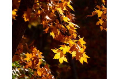 ​100句名人生格言励志