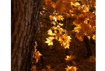 ​新婚人妻的沦陷屈服优选34句