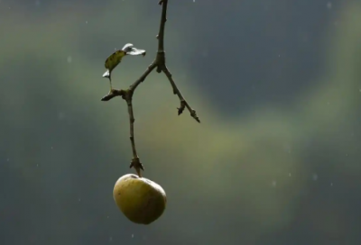 ​人脸识别演讲稿范文