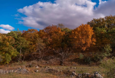 ​祝你生日快乐英文精选50句