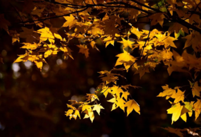 ​万里长城万里空精选30句