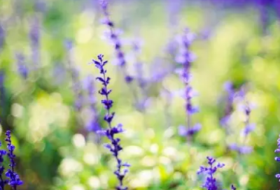 ​工程测绘演讲稿范文