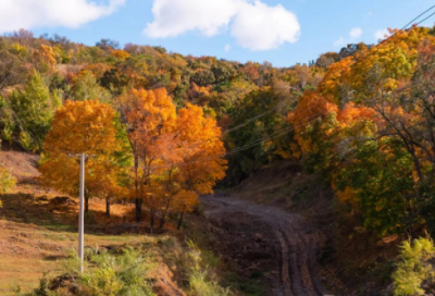 ​茶语清心精选54句