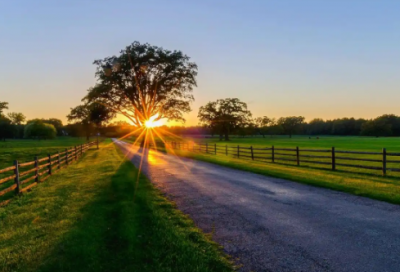 ​眼视光专业求职信