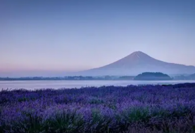 ​家长给老师的话优选20句