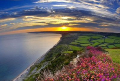 ​艺术品鉴定类专业求职信