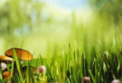 ​周姓属牛男宝宝起名