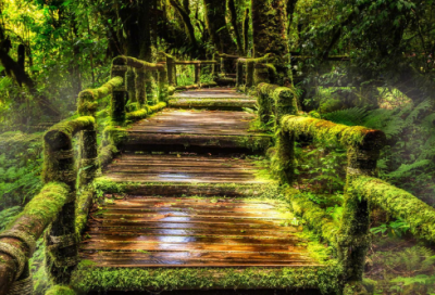 ​新红楼梦演员剧照精选22句