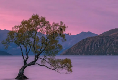 ​企业春节演讲稿范文