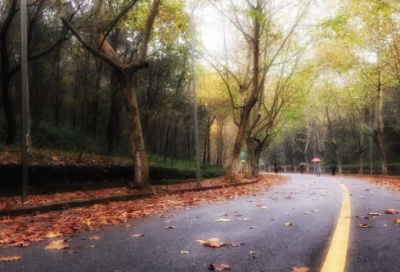 ​更改姓名申请书范文