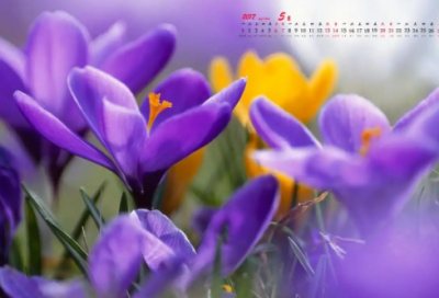 ​网名女ins冷淡风优选汇总124个