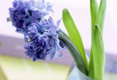 ​个人住房申请书范文