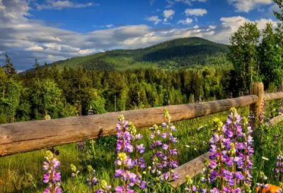 ​业务演讲稿范文大全