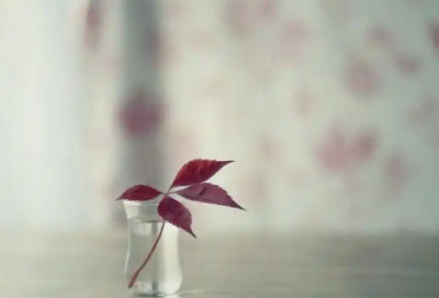 ​机设专业求职信