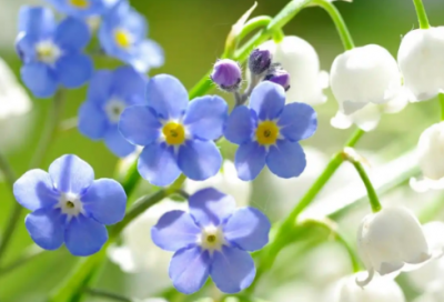 ​书法趣谈演讲稿范文