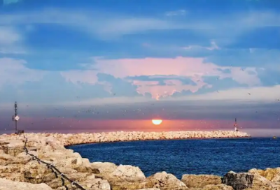 ​宠医专业的求职信怎么写